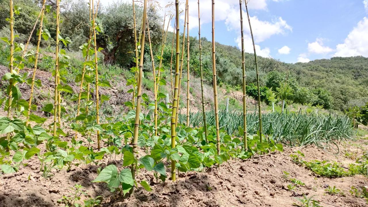 חראנדייה דה לה ורה Hotel Rural San Giles מראה חיצוני תמונה